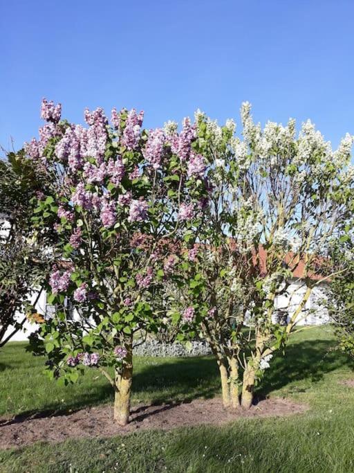 Aux Couleurs De La Baie A Sailly-Bray Villa นัวแยลส์-ซูร์-แมร์ ภายนอก รูปภาพ