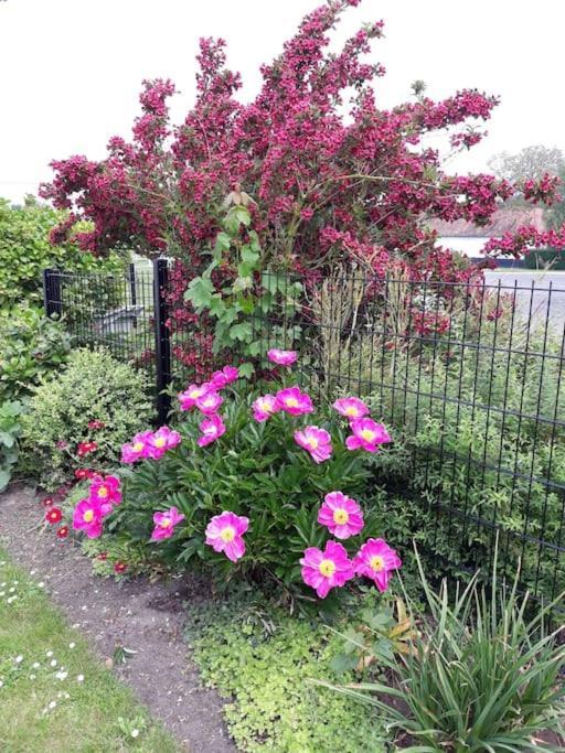 Aux Couleurs De La Baie A Sailly-Bray Villa นัวแยลส์-ซูร์-แมร์ ภายนอก รูปภาพ